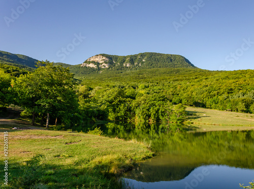 The lake in the mountains is surrounded by green forest in summer.