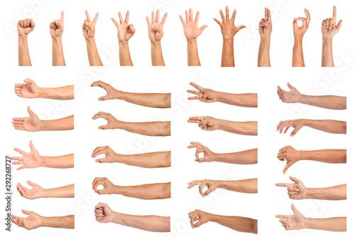 set of human hands isolated on white background photo