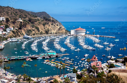 Fototapeta Naklejka Na Ścianę i Meble -  catalina islands avalon city from above