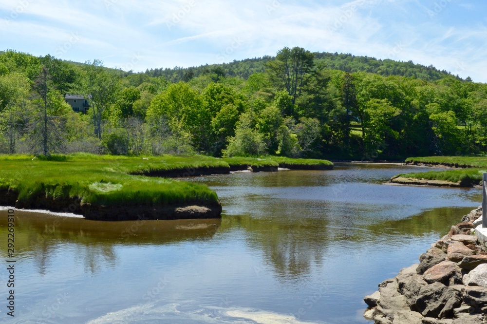 Marsh in Maine with beautiful long green grass Marsh in Maine with beautiful long green grass