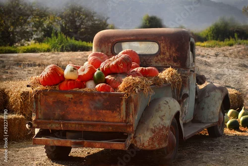 Obraz Stare zardzewiałe ciężarówki pełne upadku dynie