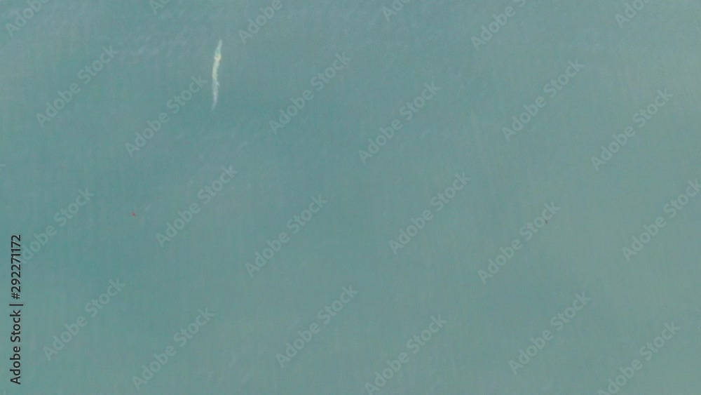 Fish swimming on the surface of the Ocean