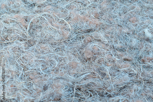 jute fiber texture close up © klavdiyav