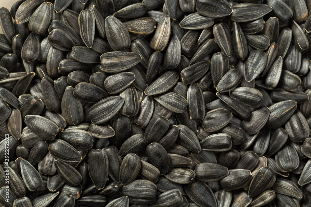 organic sunflower seed for background uses organic sunflower seed for background uses