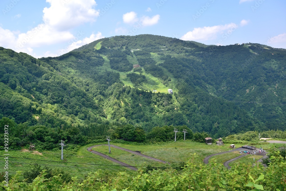 夏の湯沢高原 大峰山