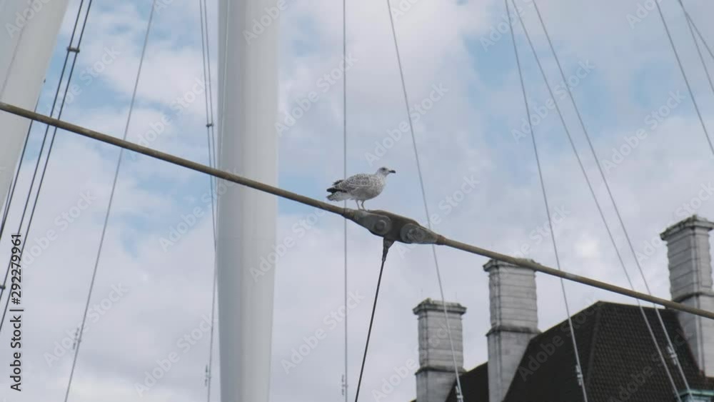 Seagull sitting on a metal bar with clouds in the background and looking around before flying away Seagull sitting on a metal bar with clouds in the background and looking around before flying away
