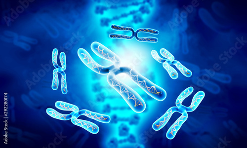 Chromosome on sicience background. 3d illustration photo