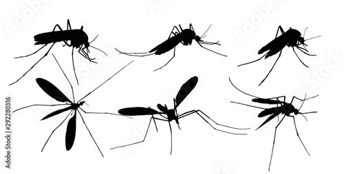 A set of mosquito silhouettes.