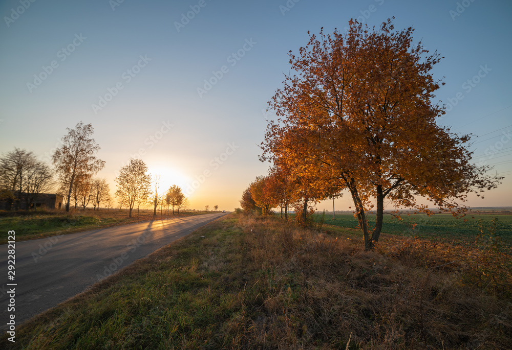 Beautiful sunset with warm sky on background of autumn trees