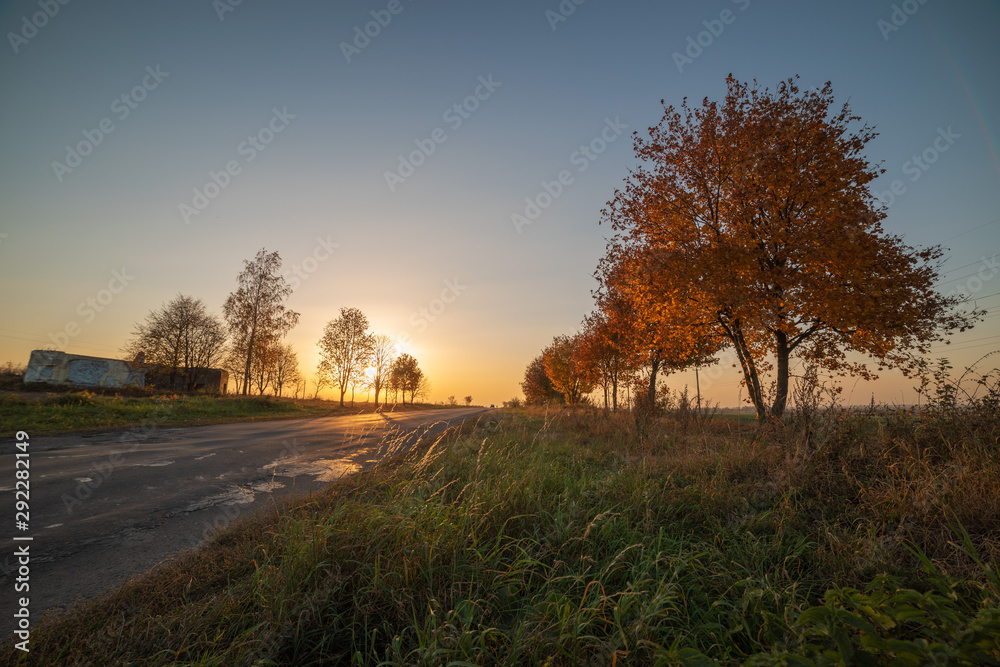 Beautiful sunset with warm sky on background of autumn trees Beautiful sunset with warm sky on background of autumn trees