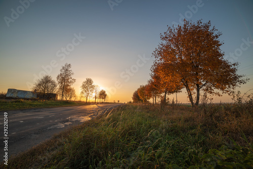 Beautiful sunset with warm sky on background of autumn trees