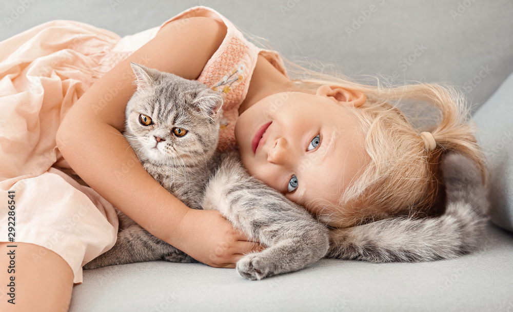 Little girl with cute cat at home - obrazy, fototapety, plakaty 