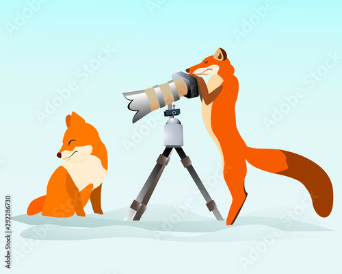 one Fox photographed another winter