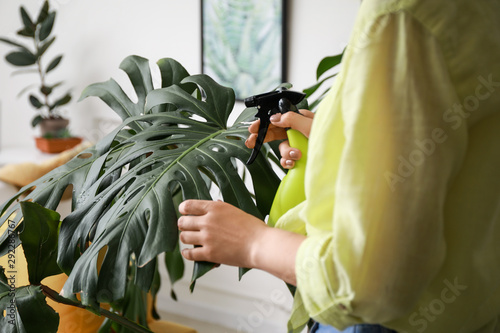 Fotografie Young woman spraying water on houseplant at home, closeup