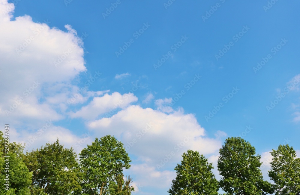 風景　空　緑　秋　日本　杤木