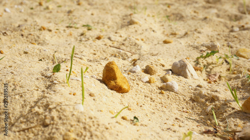 sand  sand stones and grass