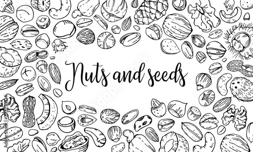 Composition with different nuts and seeds with empty center. Hand drawn outline vector sketch illustration