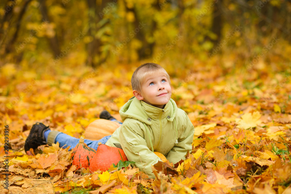 smiling boy in jacket lies in autumn yellow fallen leaves with pumpkins in park smiling boy in jacket lies in autumn yellow fallen leaves with pumpkins in park