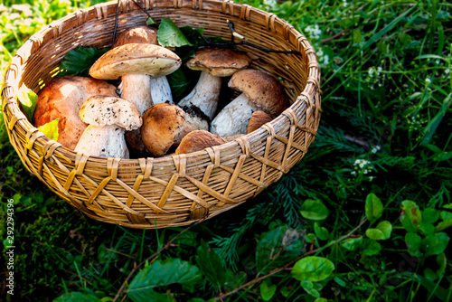 Autumn composition with mushrooms in a basket
