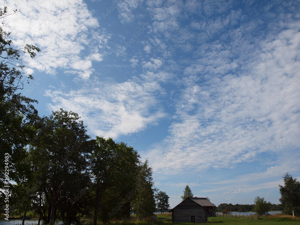 Nature on the lake. Summer sunny day. Sky