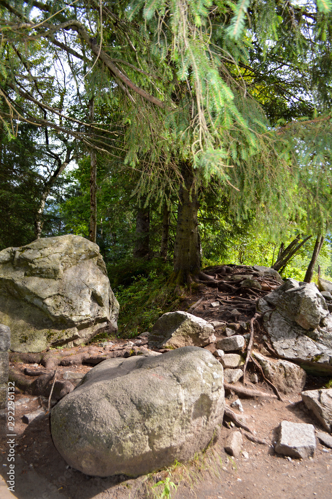 Rocky path in the High Tatras National Park Rocky path in the High Tatras National Park