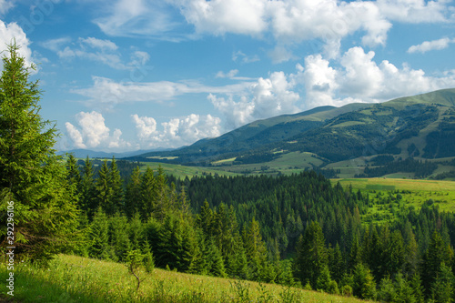 Morning high in the Carpathians