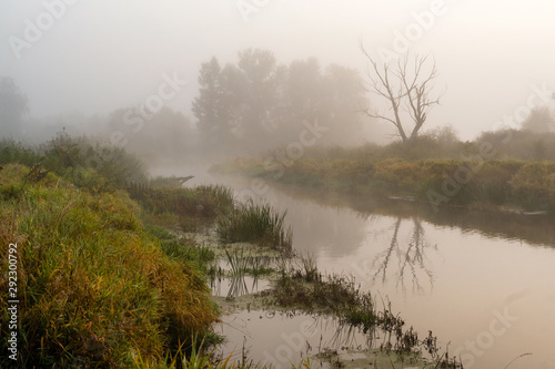 Jesienne mgły nad Narwią, Podlasie, Polska