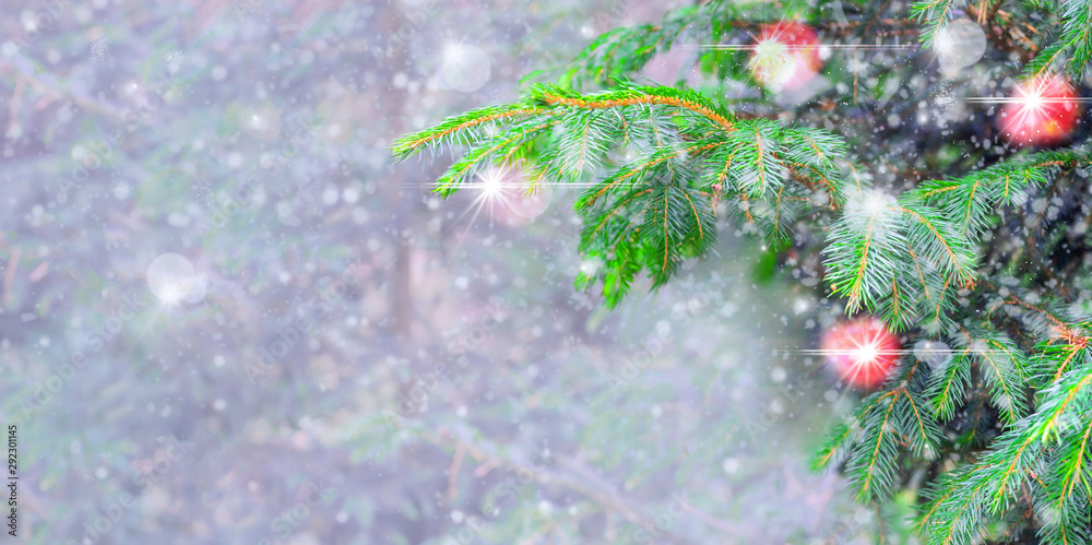Festive winter christmas background with fir branches, sparkles and snow. Copy space, banner.
