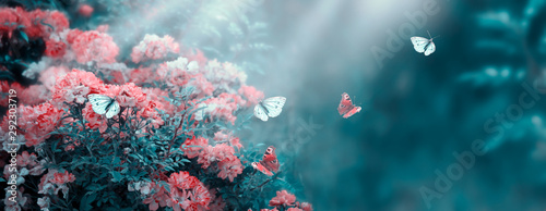 Mysterious fairytale spring or summer fantasy floral banner with rose flowers garden, flying peacock eye and blue butterflies on blurred beautiful background toned in soft pastel colors and sun rays