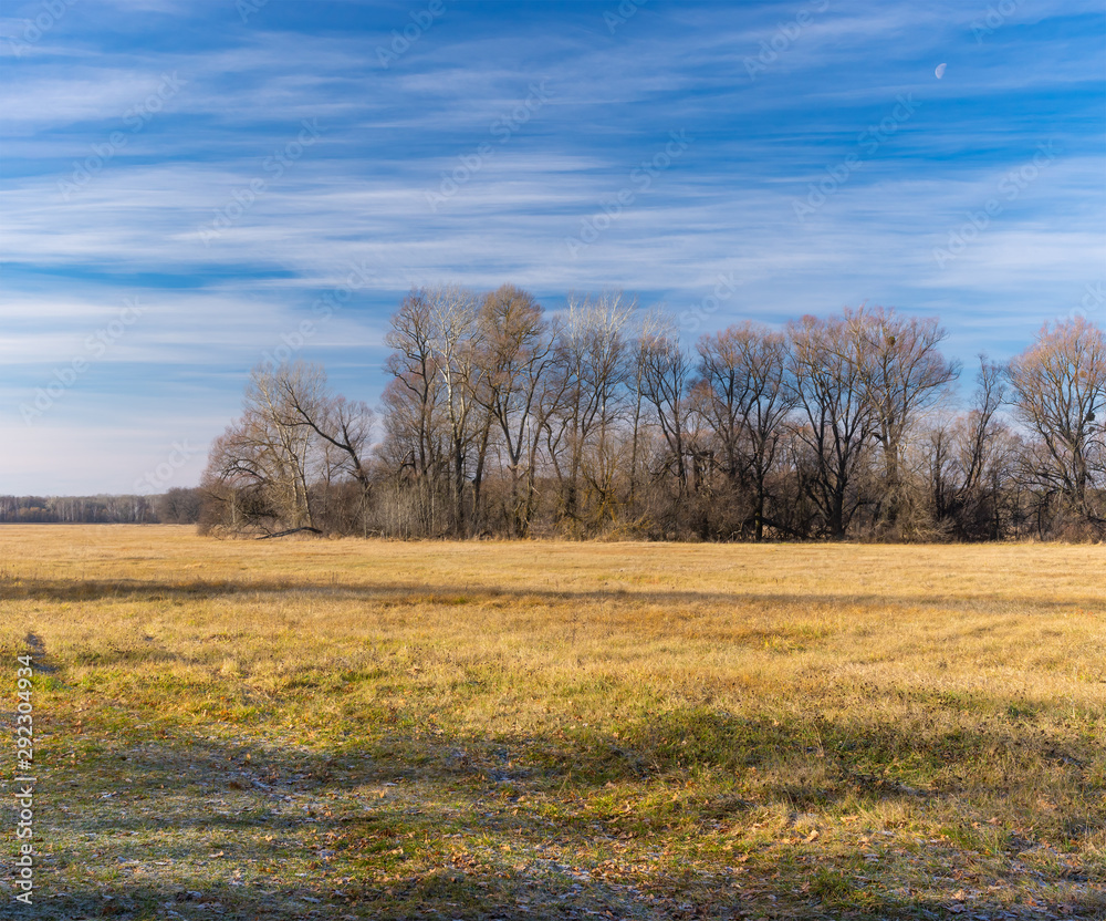 Fototapeta premium Peaceful landscape with water meadow against half Moon on blue sky at fall season in Poltavskaya oblast, Ukraine