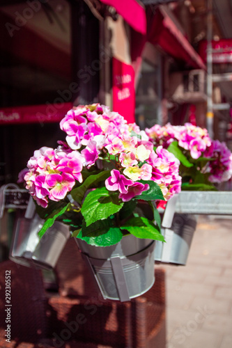 Artificial flowers in a tin pot hanging on the street, city decoration