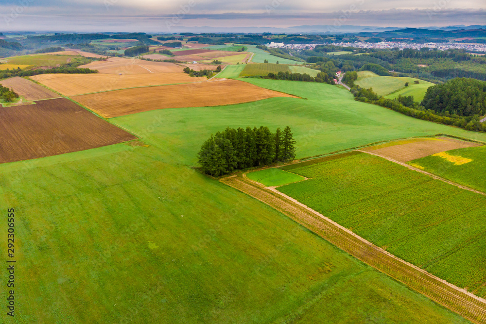panoramic view of green fields and trees