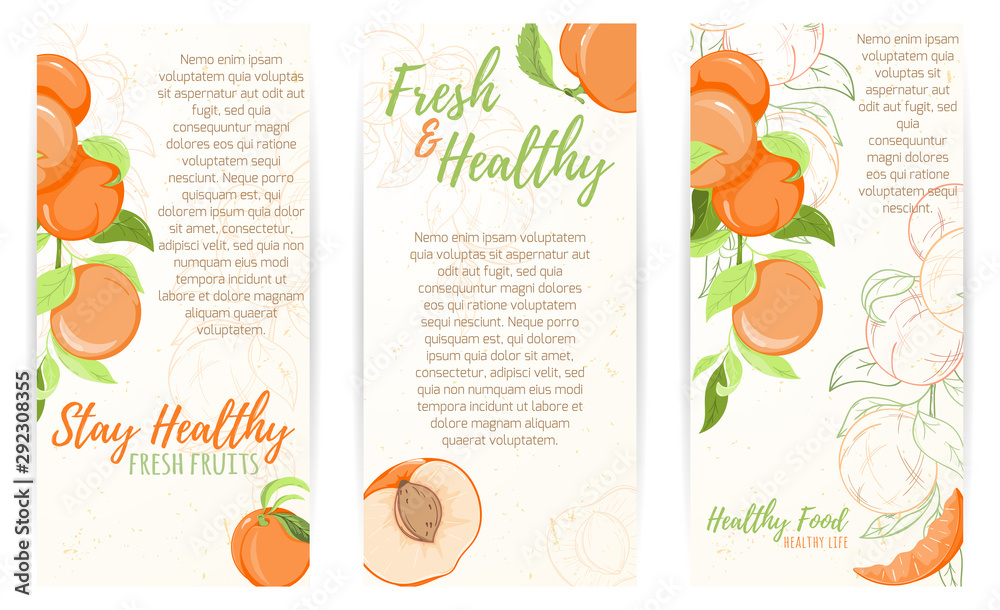 Peach or apricot fruit card