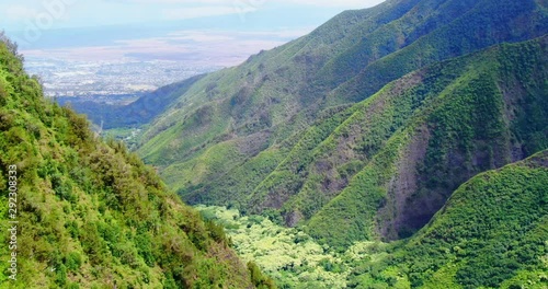 Birds flying above a Jungle Valley