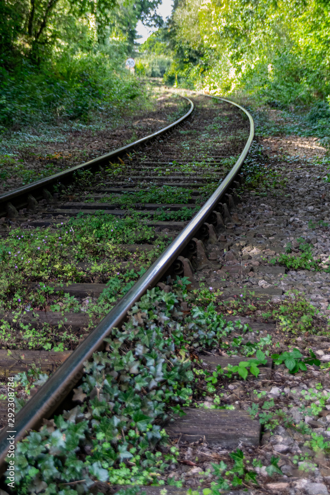 Obraz premium Leading lines with train tracks heading into a forest