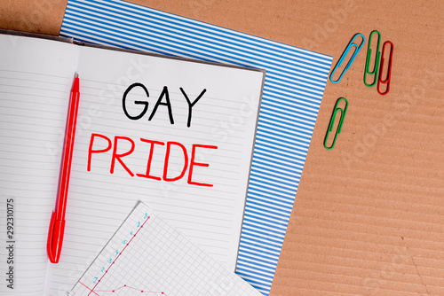 Writing note showing Gay Pride. Business concept for Dignity of an idividual that belongs to either a analysis or woanalysis Striped paperboard notebook cardboard office study supplies chart paper photo