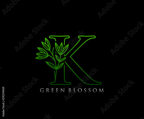 Green Leaves Letter K Logo Icon . Initial Letter K Design Vector Green Color.  Initials stamp line art sign symbol.