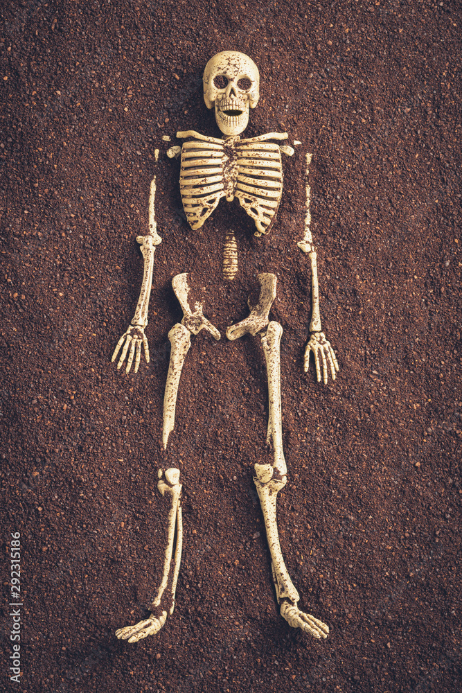 image to crop