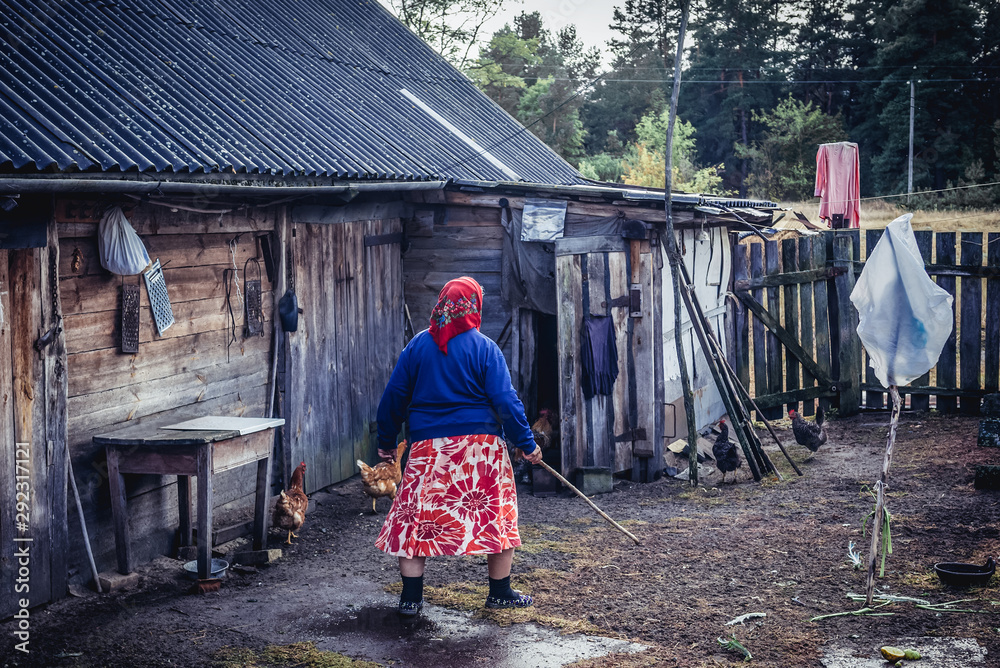 Self settler woman in Kupovate village located in Chernobyl exclusion area, Ukraine - obrazy, fototapety, plakaty 