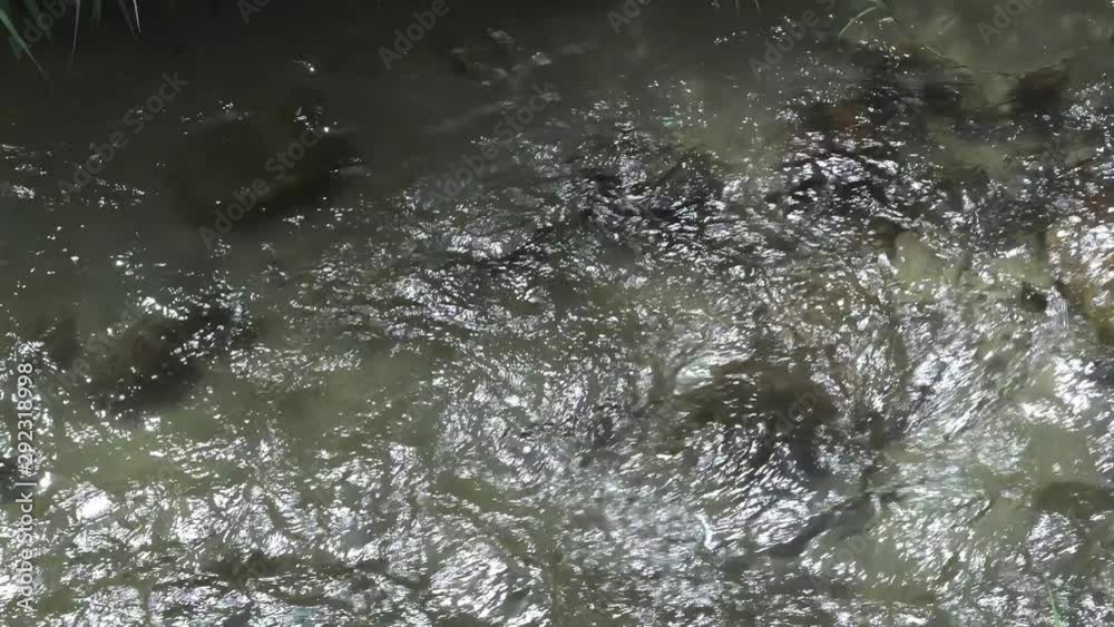 River water flow and water surface River water flow and water surface
