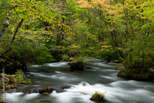 青森奥入瀬渓流の紅葉の景色