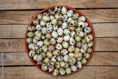 fresh delicious farm quail eggs