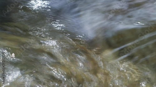 Flowing with the surface of the stream