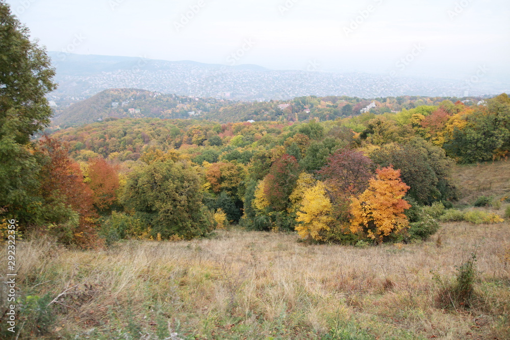 Unedited autumn pictures of the popular Hungarian park called Normafa Unedited autumn pictures of the popular Hungarian park called Normafa