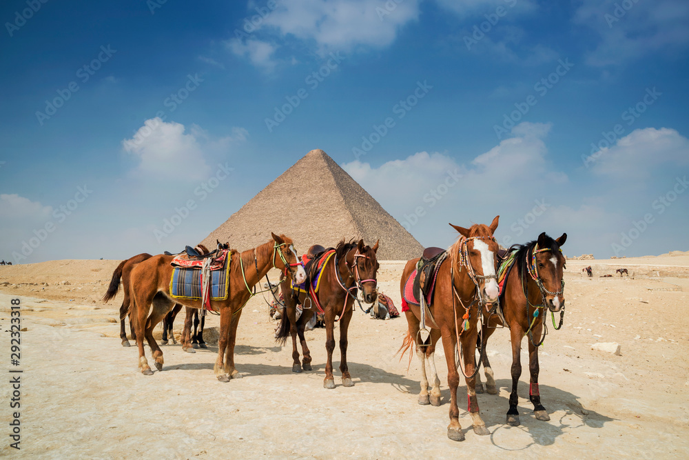 Tourist horse rides around the Giza pyramid complex, Cairo, Egypt