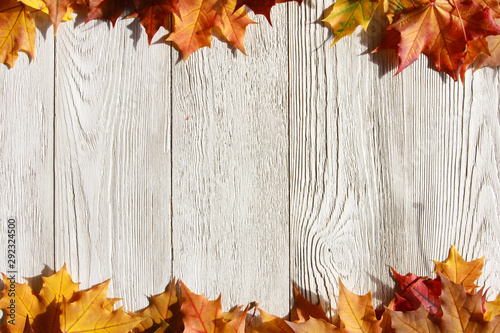 Fall leaves background. Welcome Autumn concept. Bright red, orange maple leaves on white wooden table. September, October, November, thanksgiving, frame, border