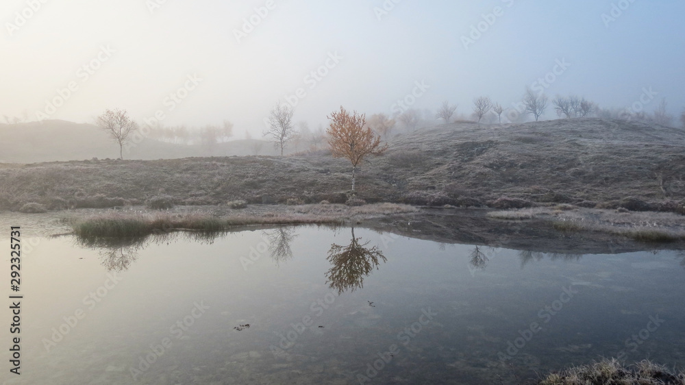 Fototapeta premium lake in winter