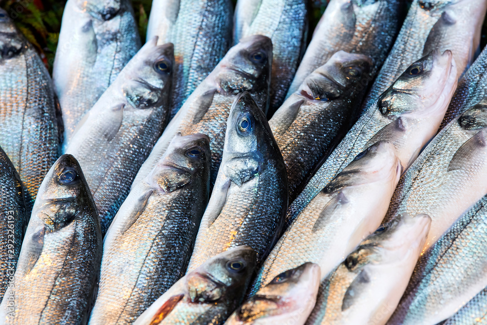 Obraz premium Sea fish background at the fish market close-up. 