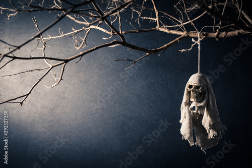 Obraz na plátně Human skull rainy doll dangle at the dried tree with  light at dark background,