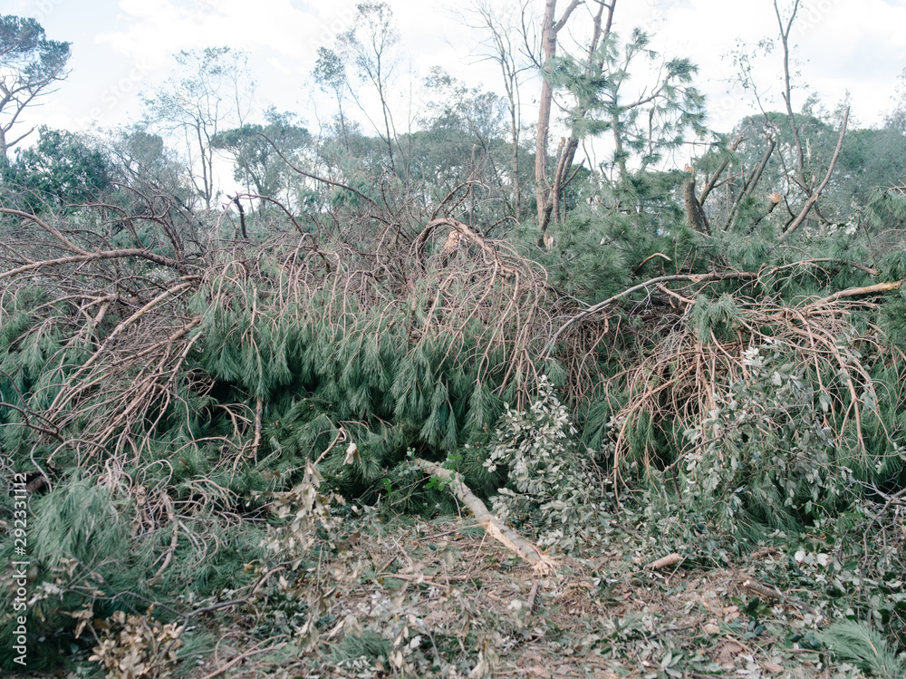 disaster after an hurricane, damages and sever destructions, insurance needed, rebuild theme and industry insurance. disaster after an hurricane, damages and sever destructions, insurance needed, rebuild theme and industry insurance.